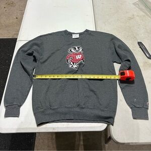 Wisconsin Badgers Champion Crew Neck Sweatshirt Mens M Gray Embroidered Bucky